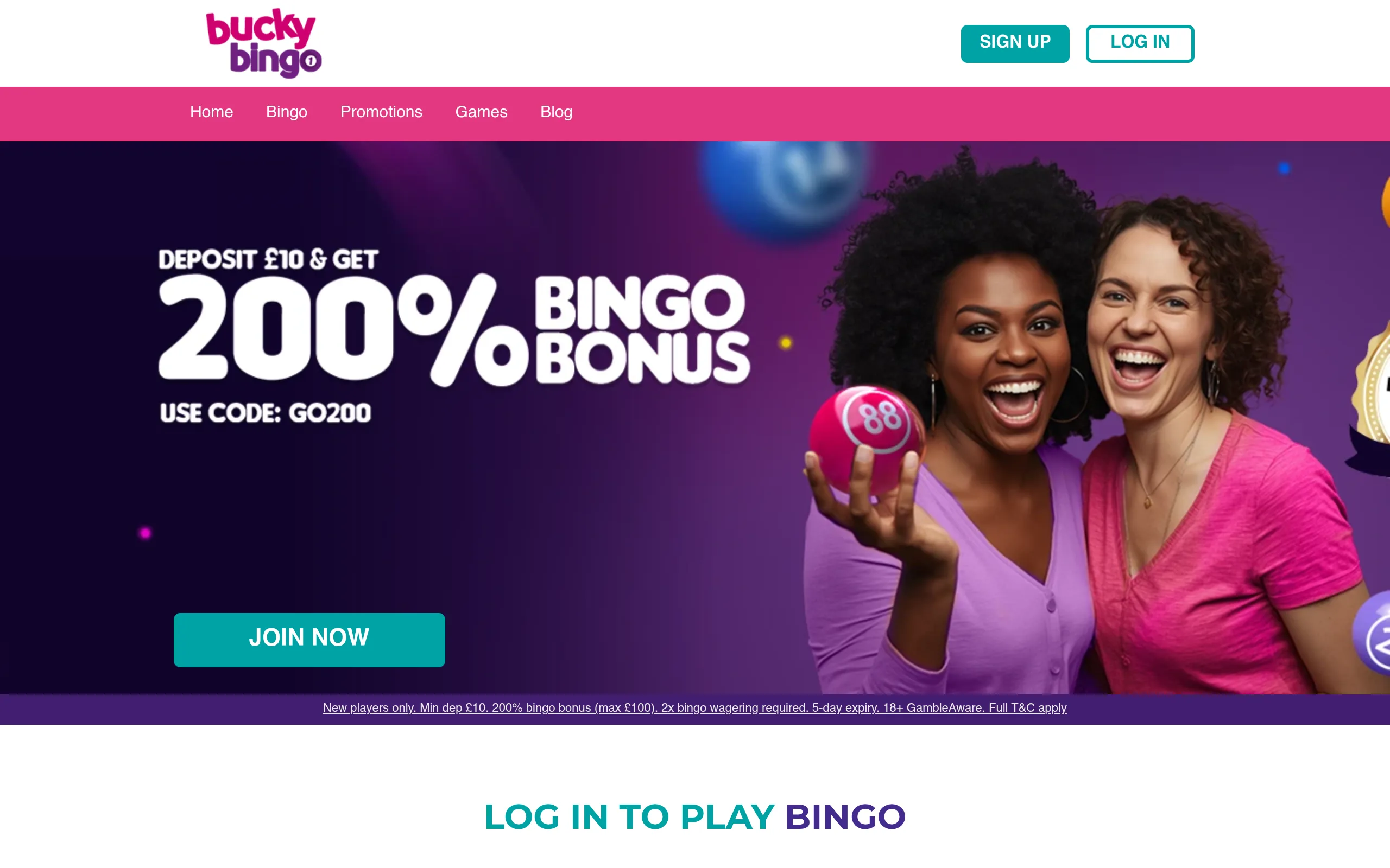 Bucky Bingo public website